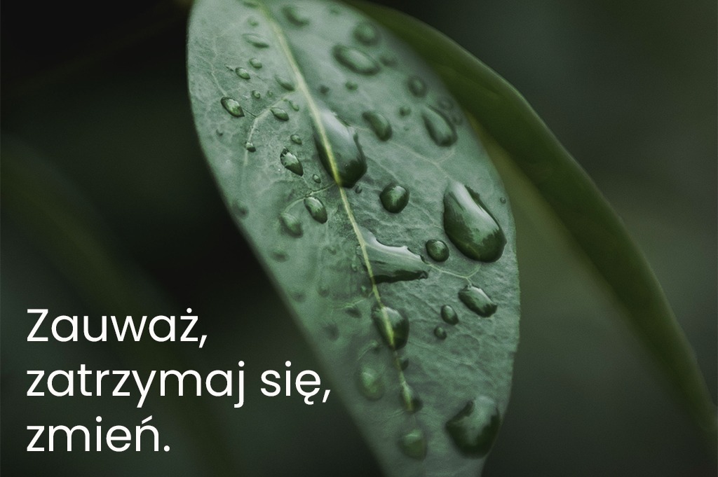 aga yogini afirmacja zauwaz zatrzymaj sie zmien